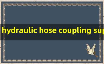 hydraulic hose coupling supplier